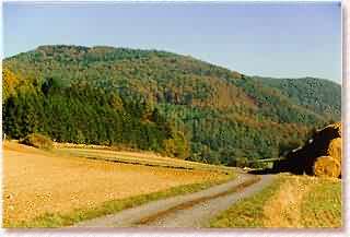 herbst1.jpg (19925 Byte)