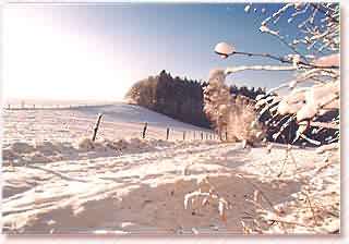 winter1.jpg (19403 Byte)